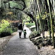 Mother and child walking through a japanese garden.