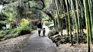 Mother and child walking through a japanese garden.